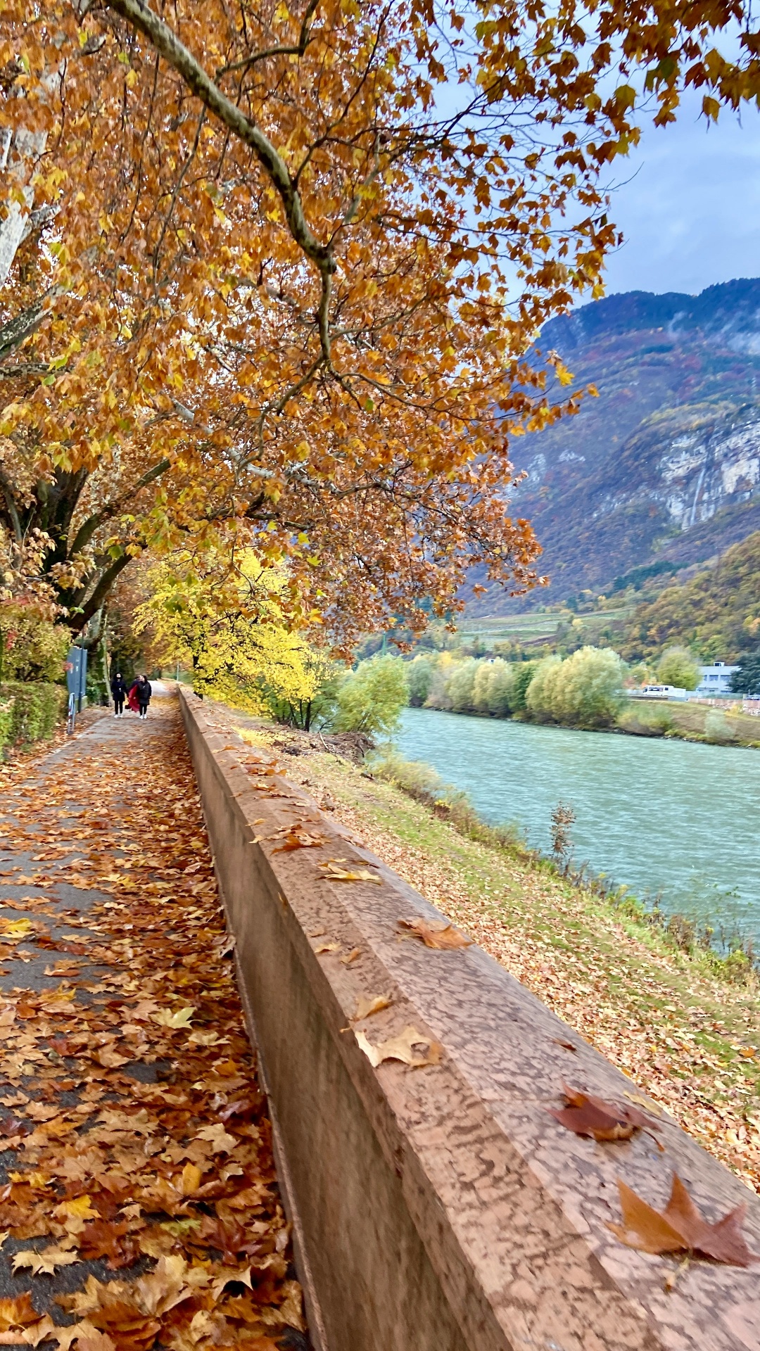 Paisagem outonal de Trento com o rio e os Alpes ao fundo