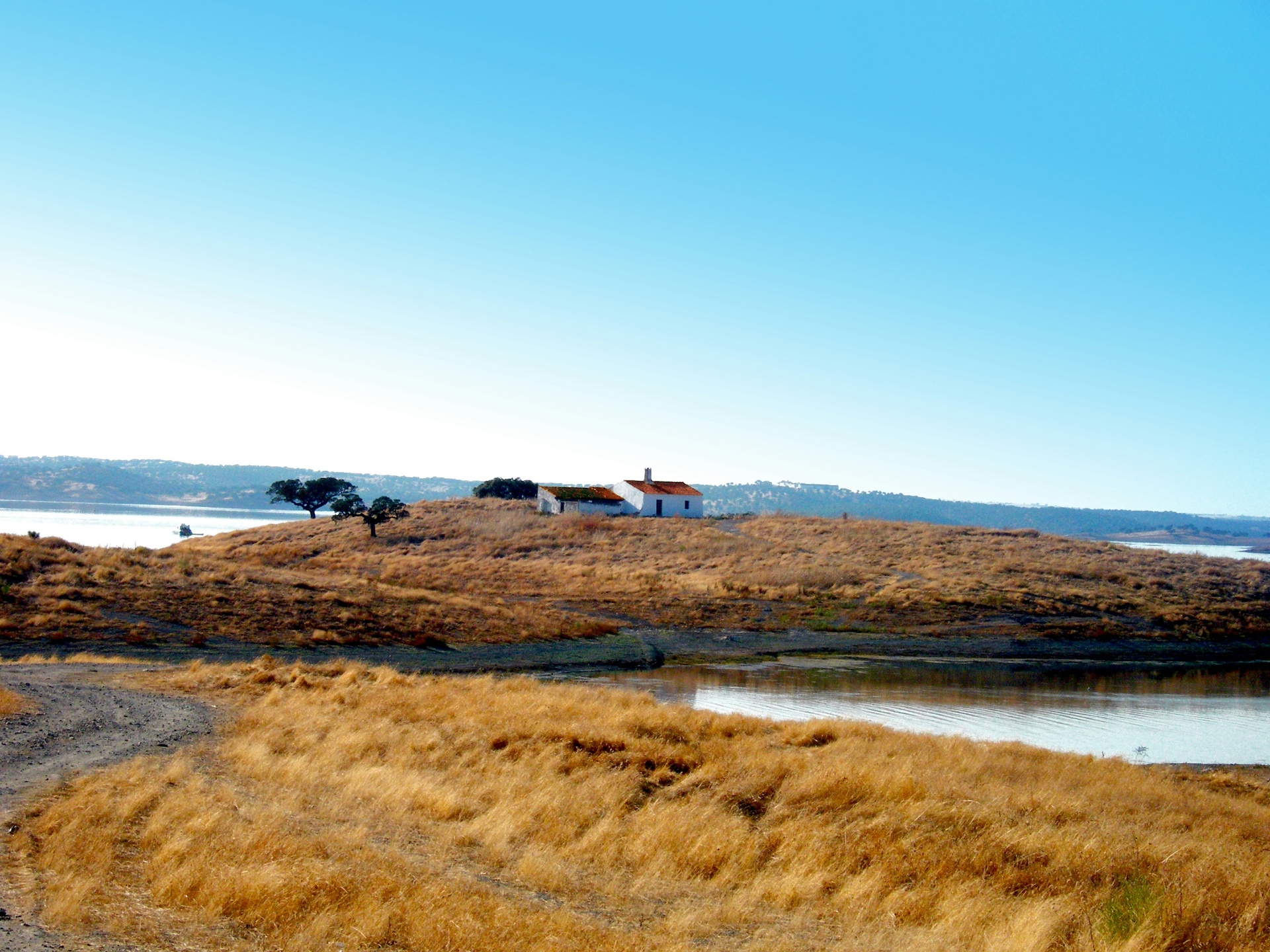 Paisagem típica do Alentejo com planícies douradas, sobreiros e monte alentejano