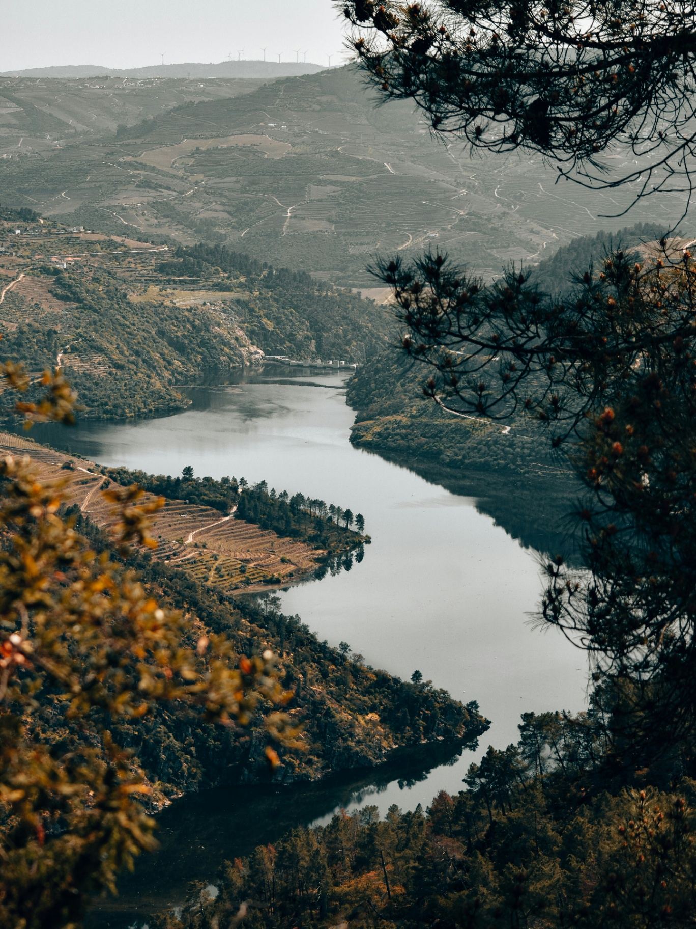 Vale do Douro com vinhedos em socalcos e rio serpenteando entre montanhas