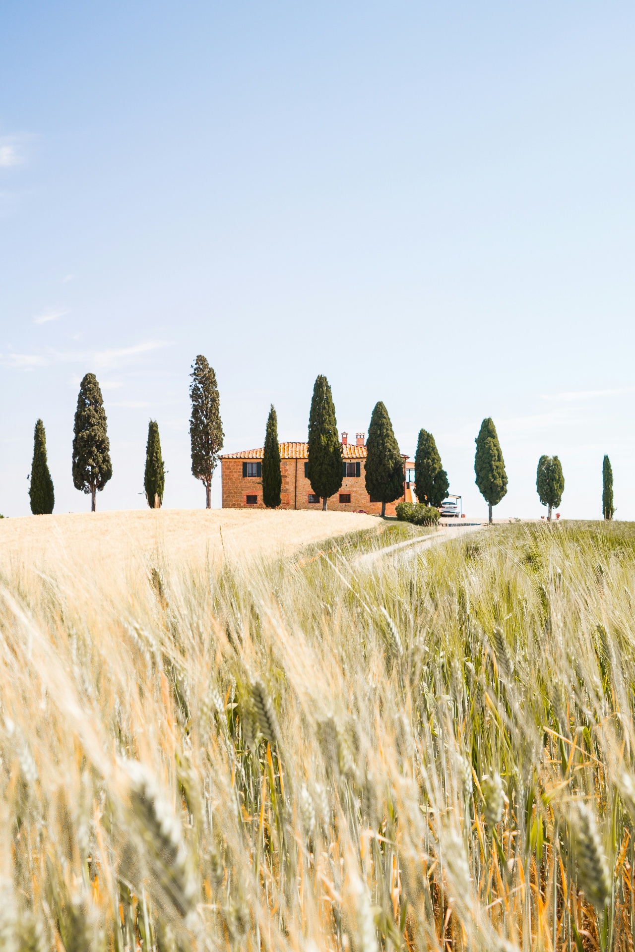 Casa de campo típica de la Toscana rodeada de cipreses y trigales