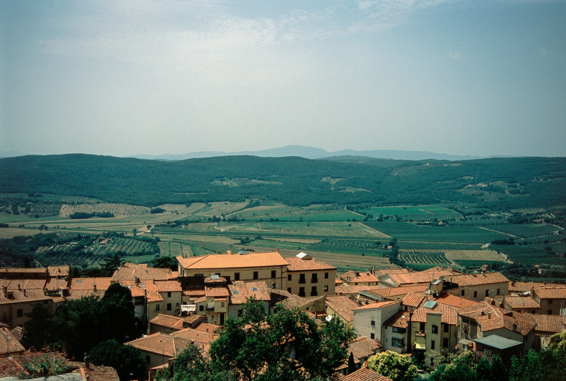 Panoramic view of Frascati with terracotta roofs and surrounding vineyard fields
