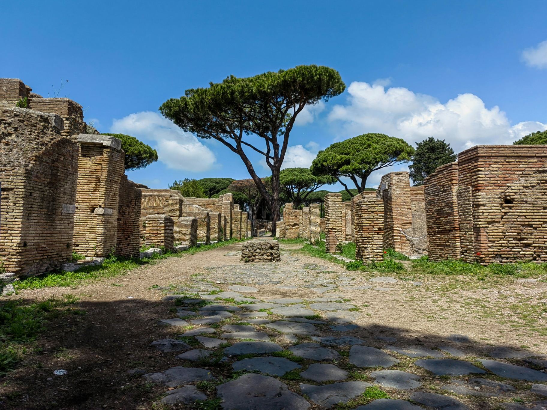 Ruins of the ancient Roman port of Ostia Antica with its paved streets and characteristic pine trees