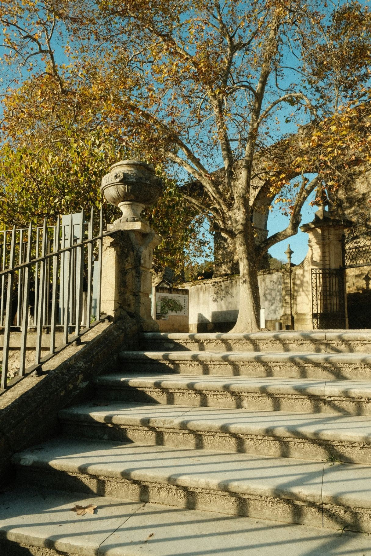 Escadaria e jardins da Universidade de Coimbra com árvores outonais