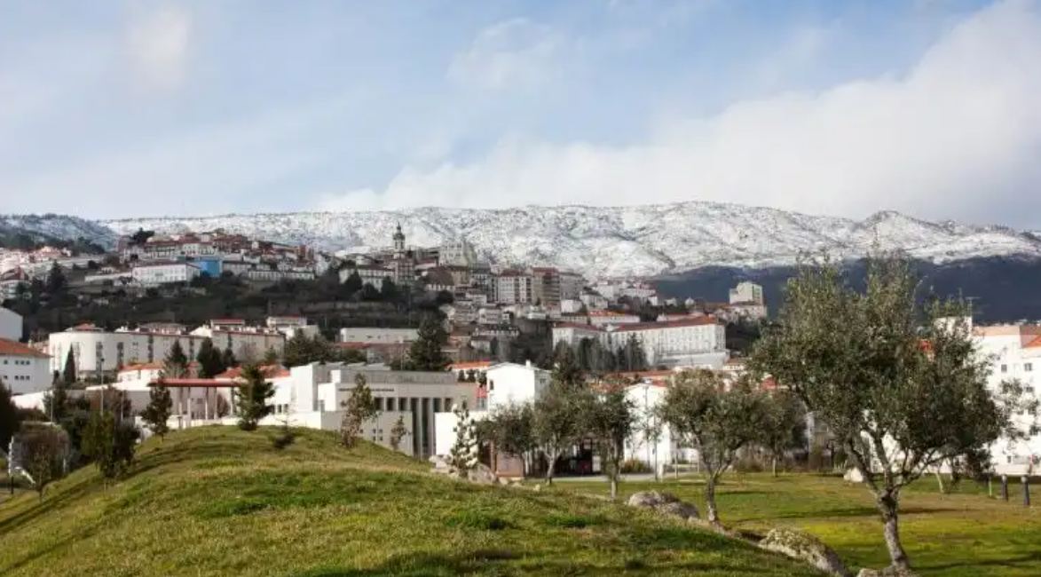 Vista da cidade da Covilhã com casas de telhados vermelhos e a Serra da Estrela coberta de neve ao fundo